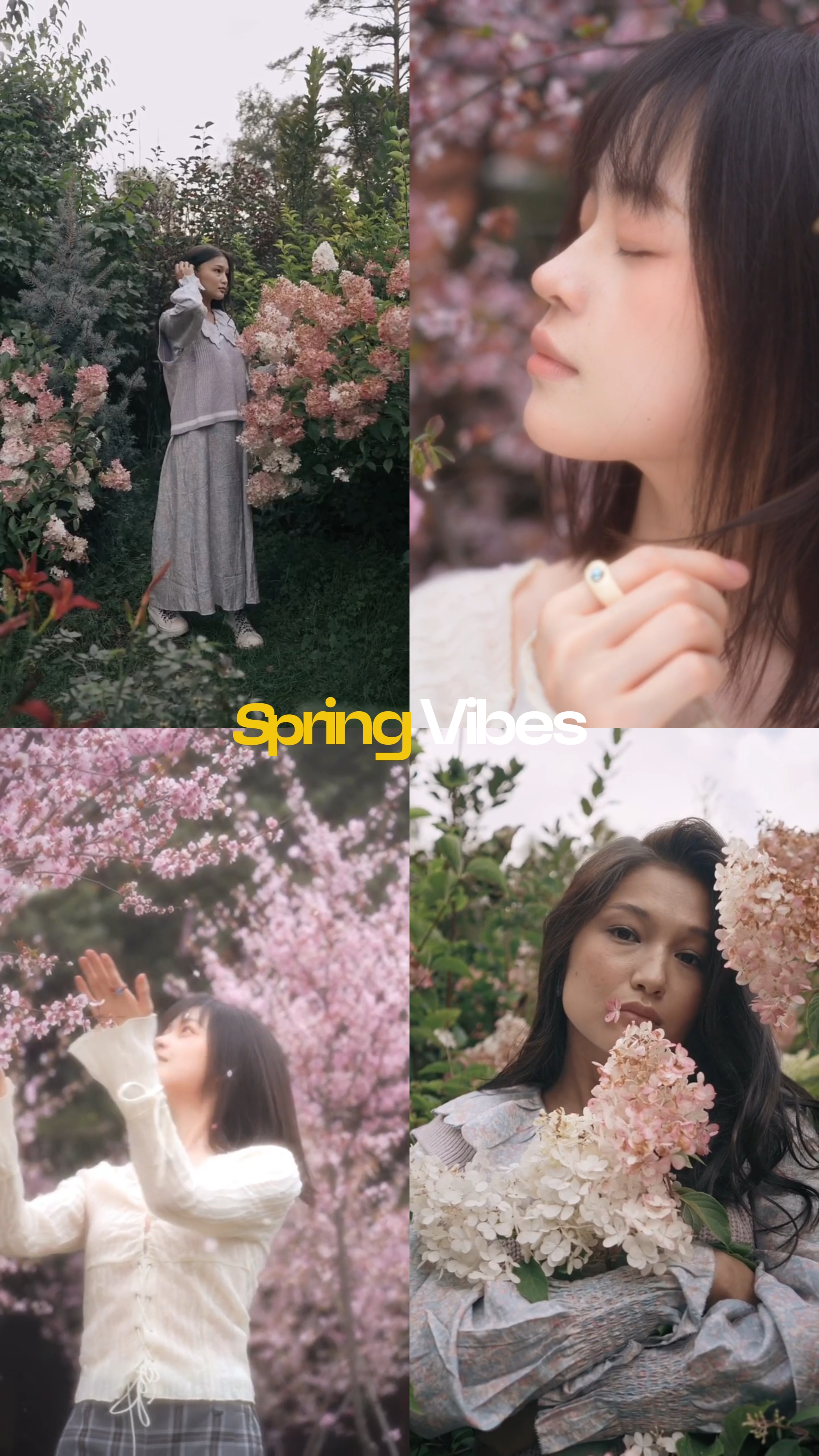 Vibras de primavera
