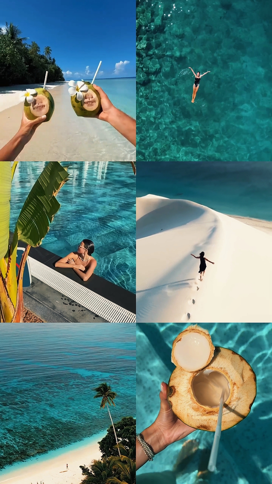 Summer diaries