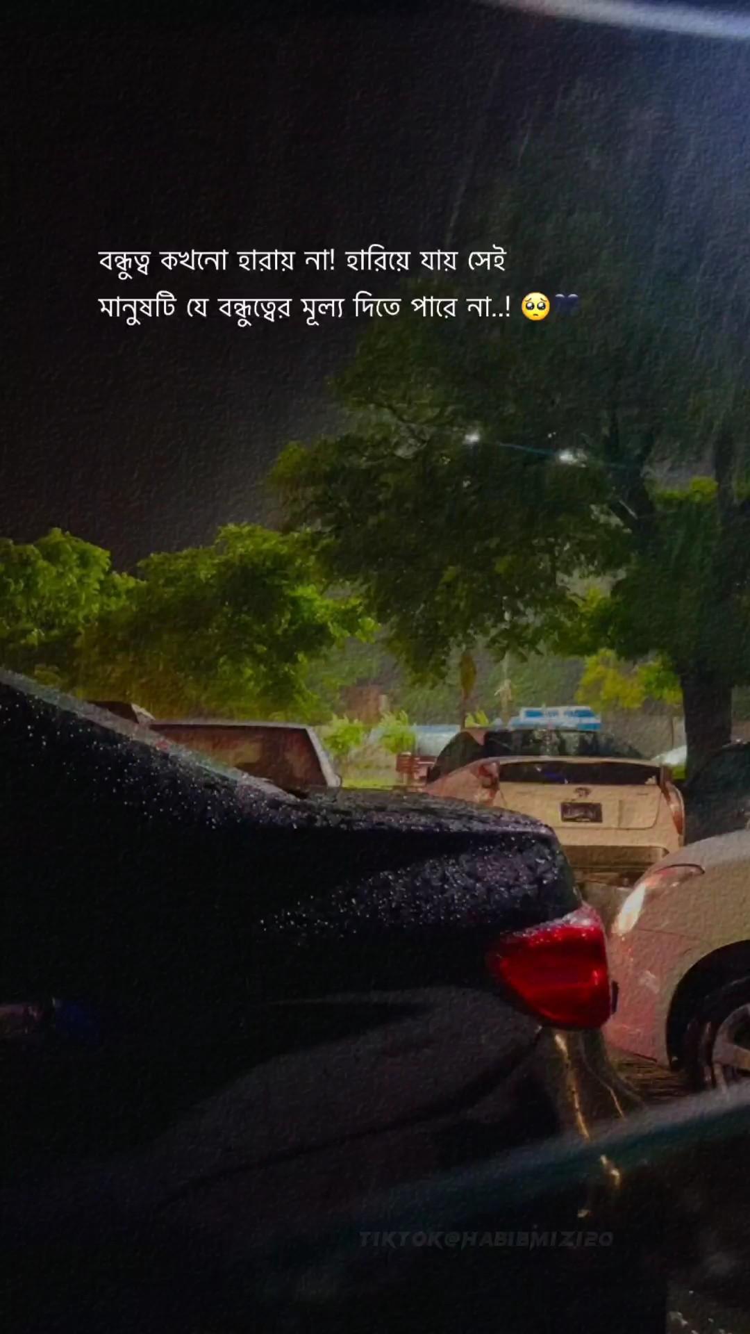 Video ng Katayuan ng Bangla 
