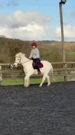 First canter back 🫶🏼