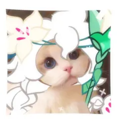 white lily cookie