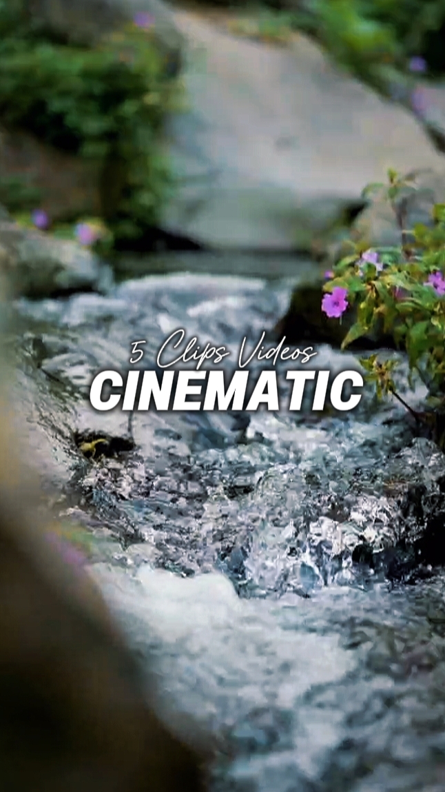 5 Clips Videos