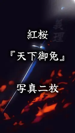 紅桜　天下御免　　