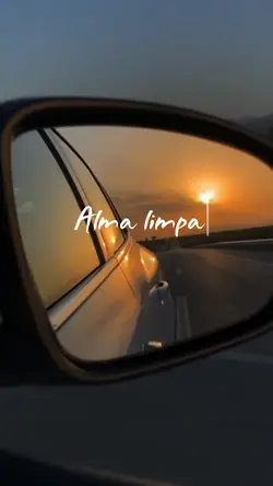 Reflexão status