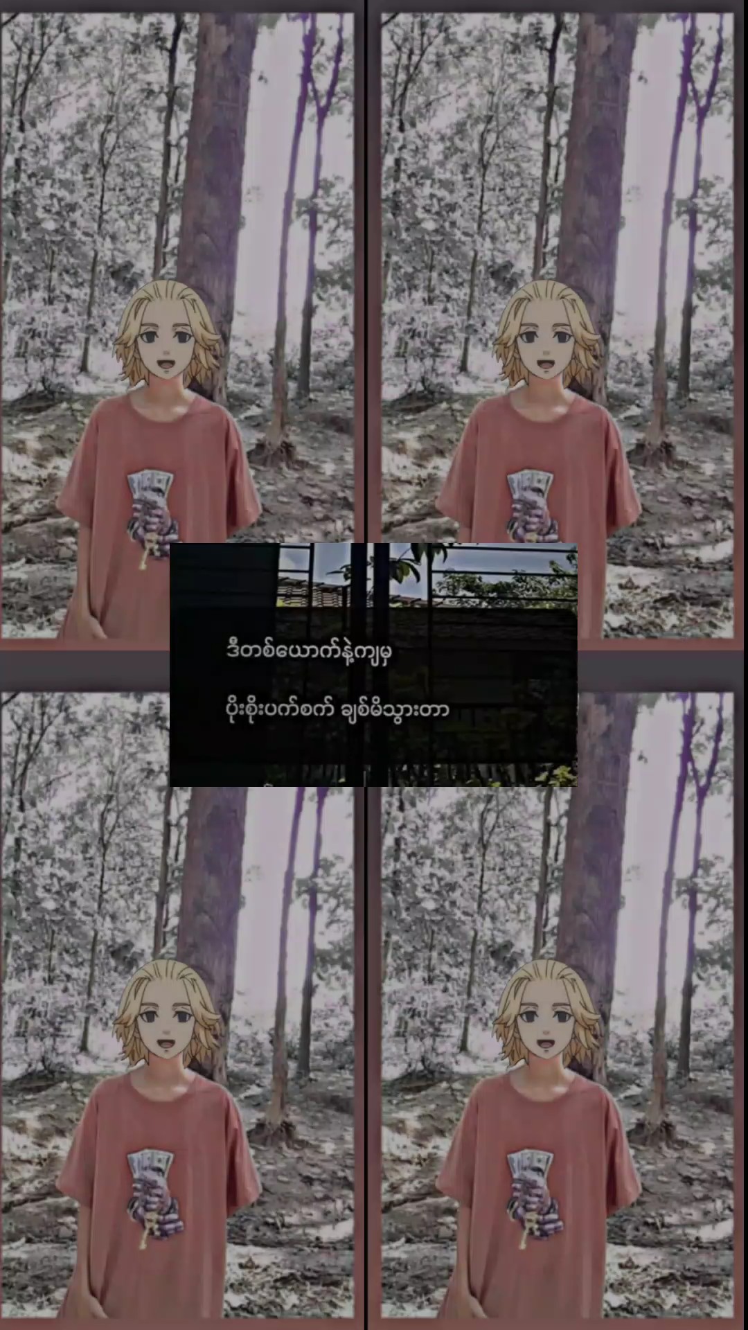 စော်ရှိ/ဘဲရှိတေအတွက်