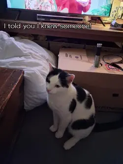 UMMMMM