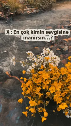 Annem 🌸