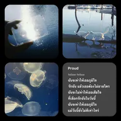 Proud ไม่มีโทน