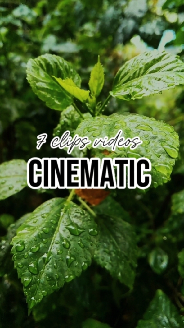 cinematic 7 clips