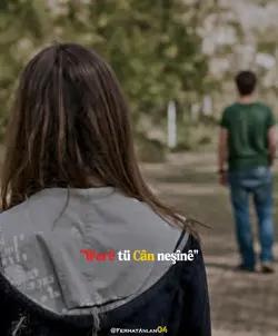 Were tü can neşine