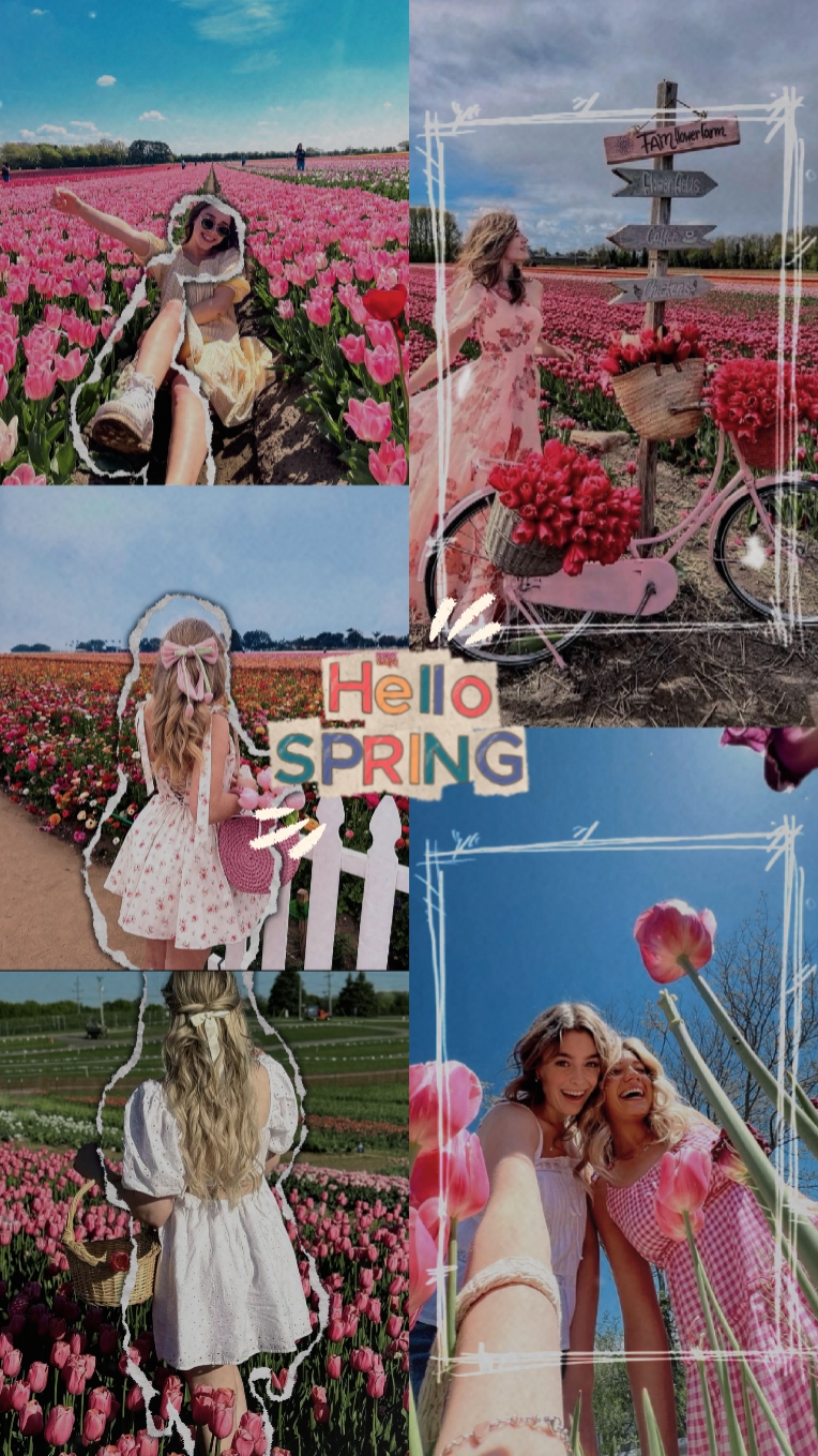 Olá primavera 