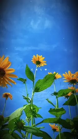 Nature Therapy❤️