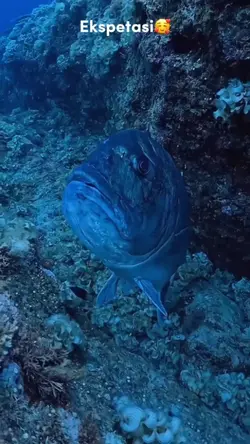 ekspektasi vs realit