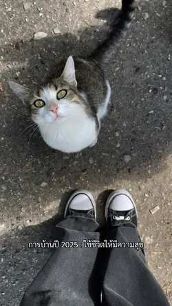 การบ้านปี 2025