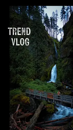 trend vlog
