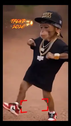 dancing monkey