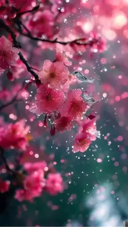 3D Wallpaper