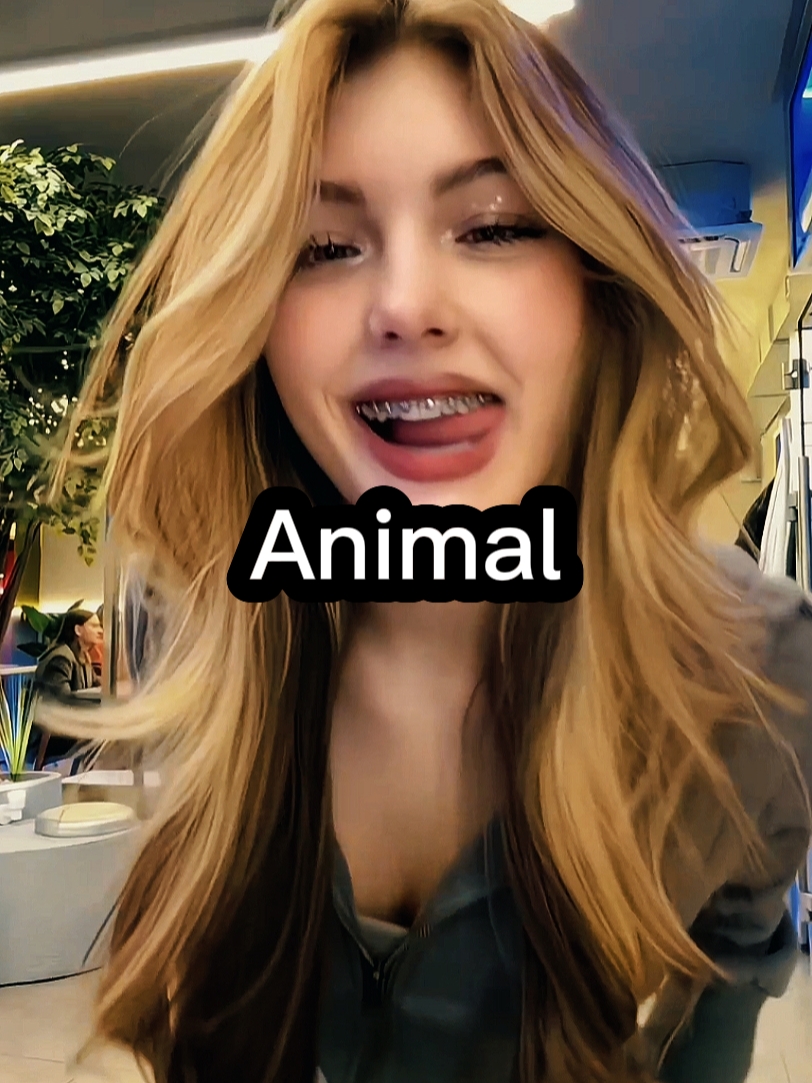 Animal Katseye