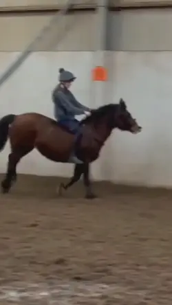 Ignore the seat 🥲