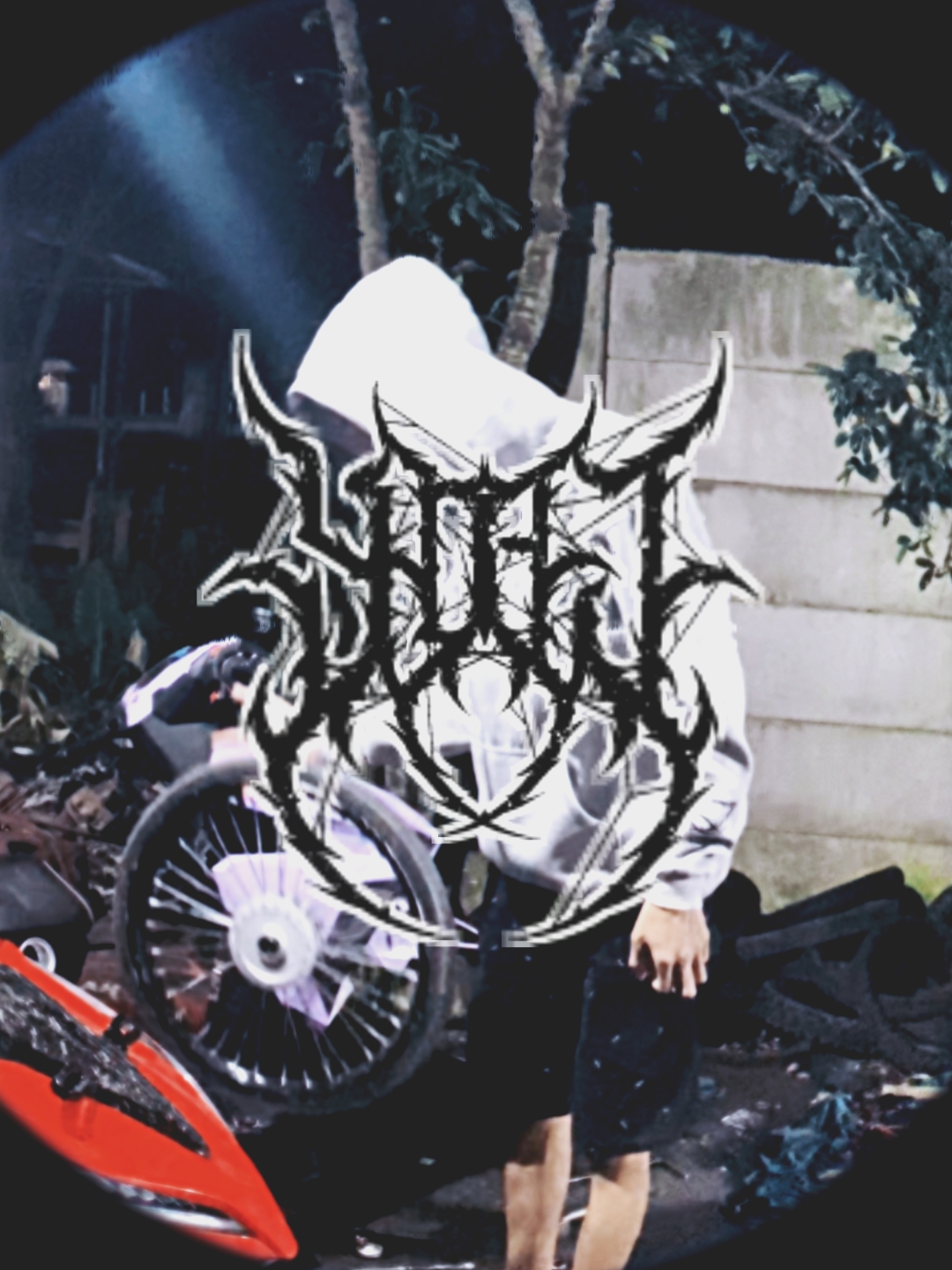 Cover Picture