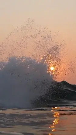 Beach Vibes