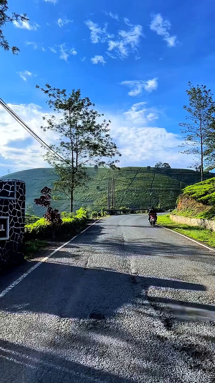 3 videos largos HD