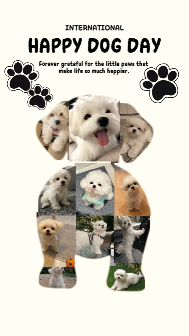 Feliz Día del Perro 2026