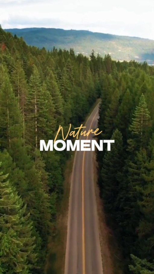 NATURE MOMENT