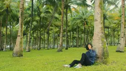 Tulus -Teh hijau