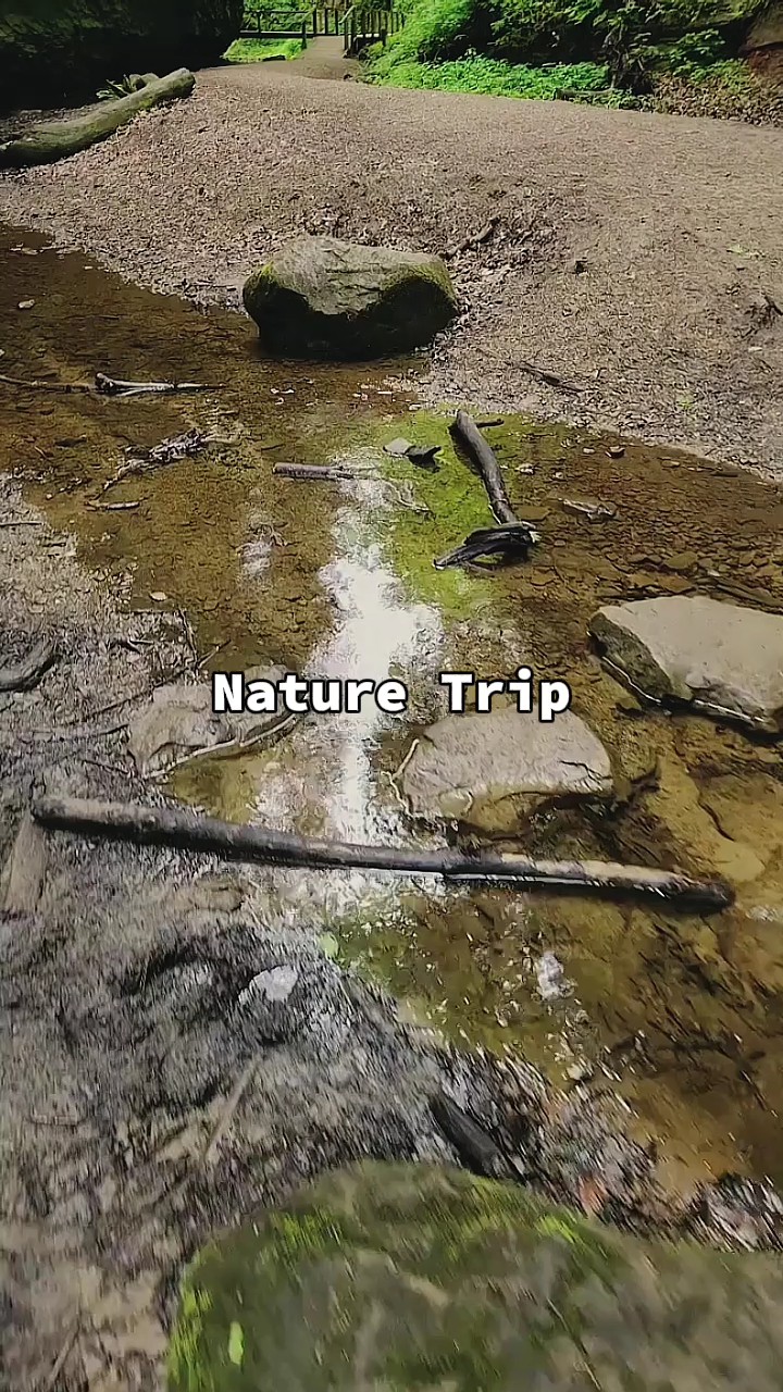 Nature Trip 