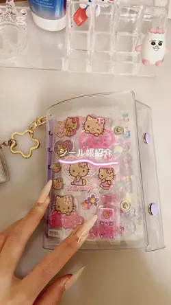 シール帳紹介𓂃🎀𓈒𓏸