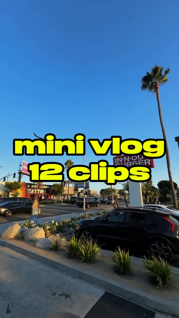 Mini Vlog 12 Clips