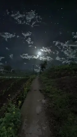 Noche de lluvia