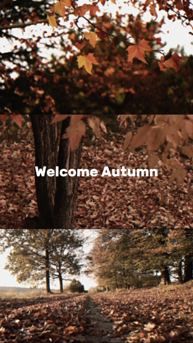 Welcome Autumn