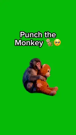 Punch the Monkey 