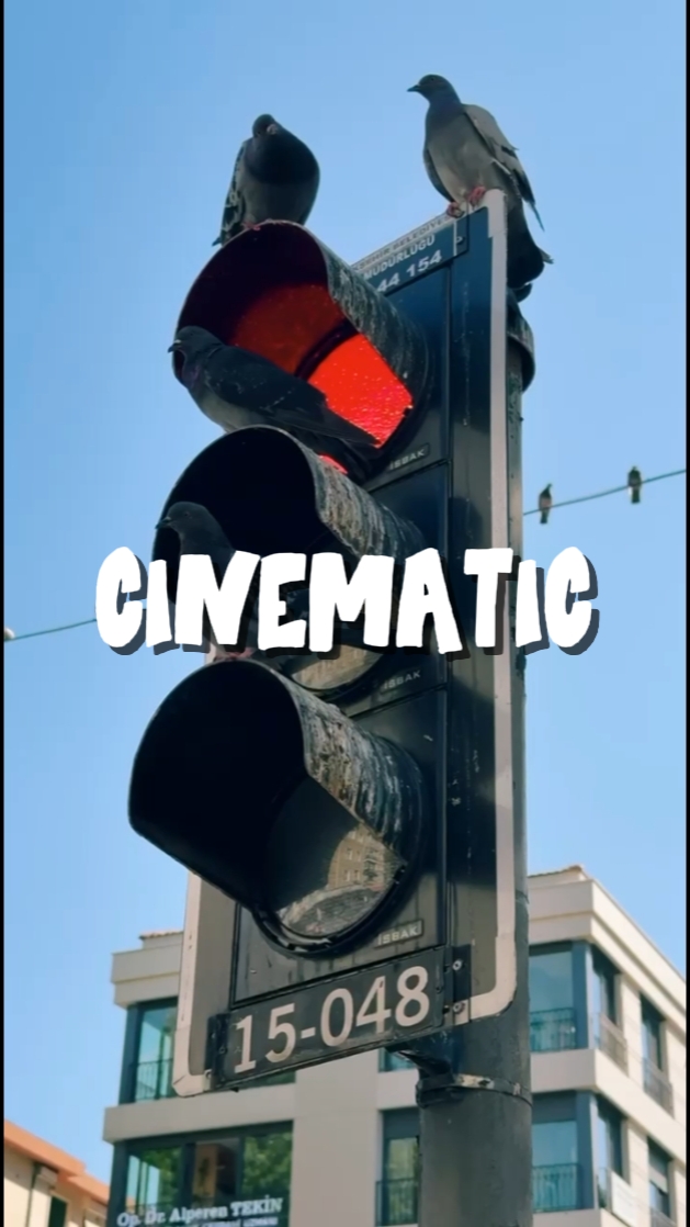 CINEMATIC