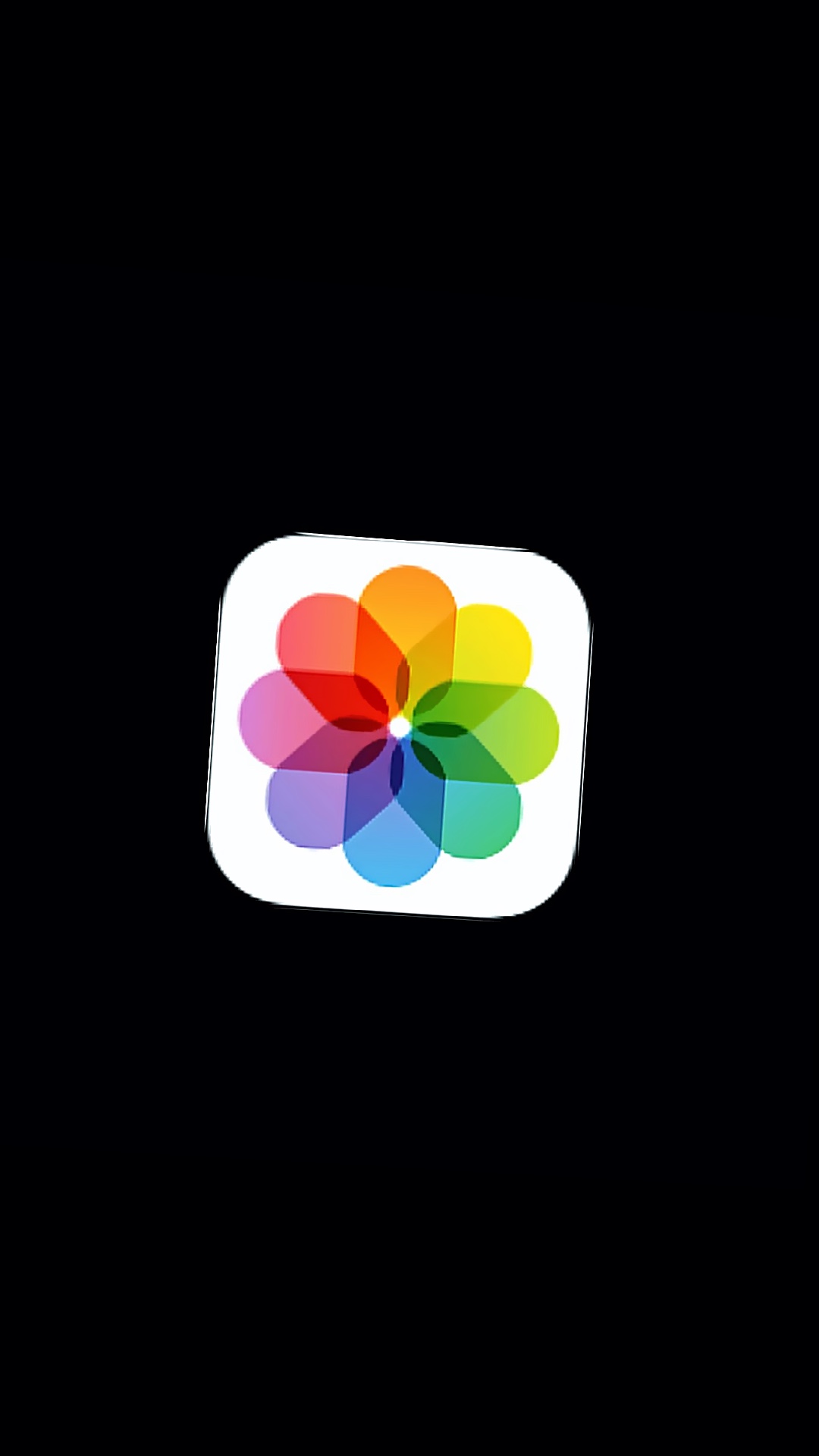 Camera roll