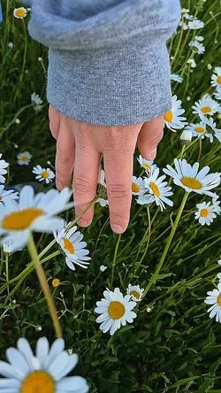 Leggerezza