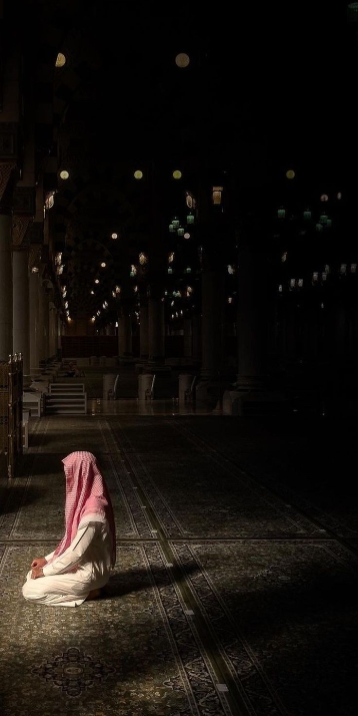 ইসলামিক ভিডিও 