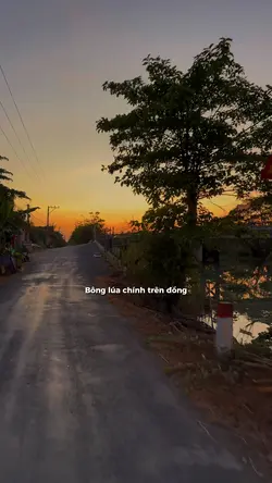 Mẫu slow