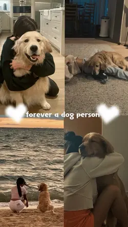 dogs>>