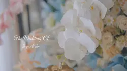 Wedding Cinematic