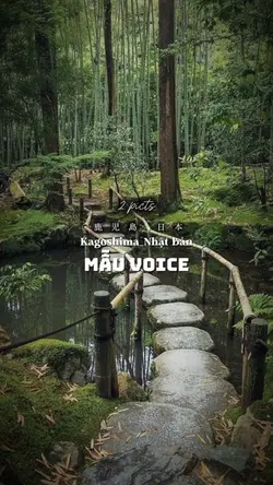 Mẫu voice