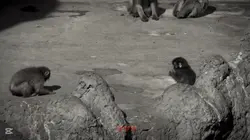 يخي يحزننن..