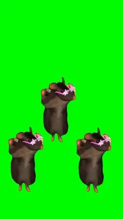 Dancing Rats