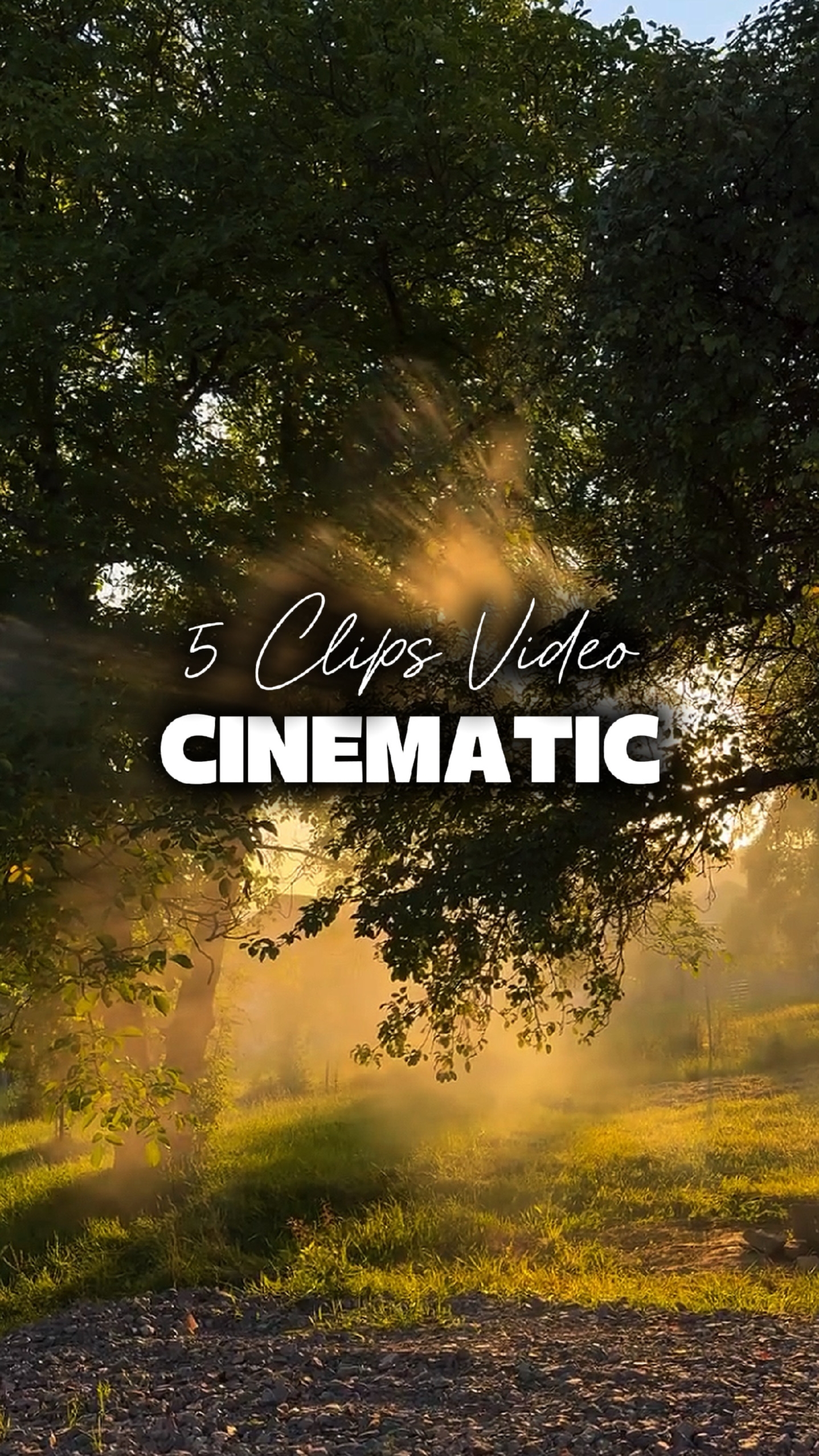 5 Videos Cinematic 