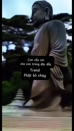 Mẫu 1 ảnh 