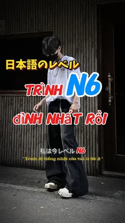 Trình độ N6