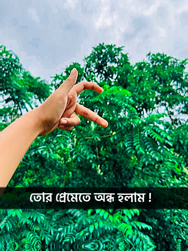 তোর প্রেমেতে অন্ধ 