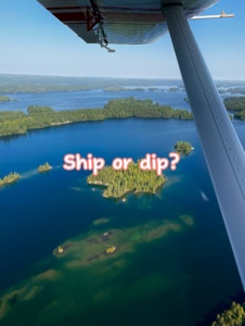 Ship it or dip it??